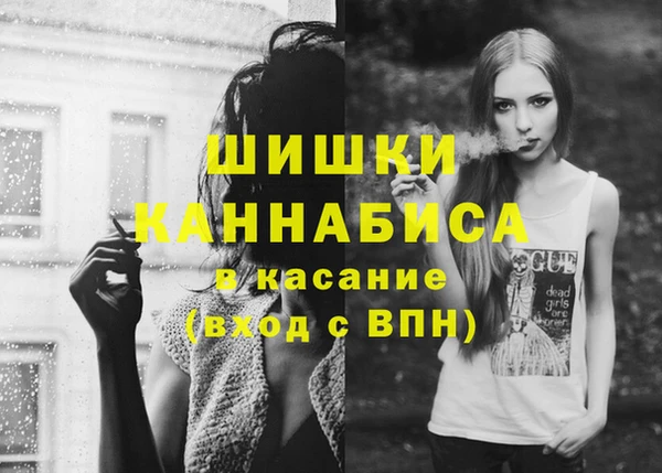 хмурый Пестово