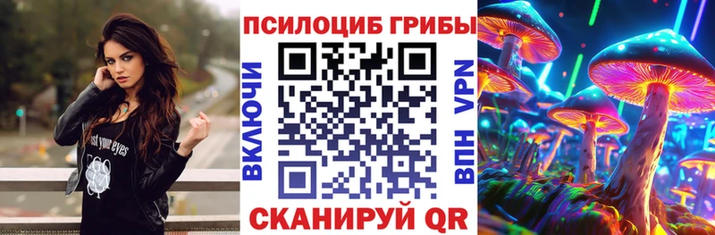 Псилоцибиновые грибы Psilocybe  Заринск 